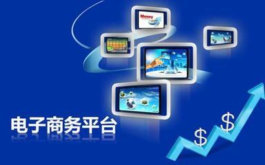 揭秘電子商務(wù)與網(wǎng)絡(luò)營(yíng)銷 產(chǎn)品定價(jià)策略與網(wǎng)絡(luò)推廣的融合之道